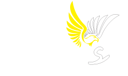Zoros Cool